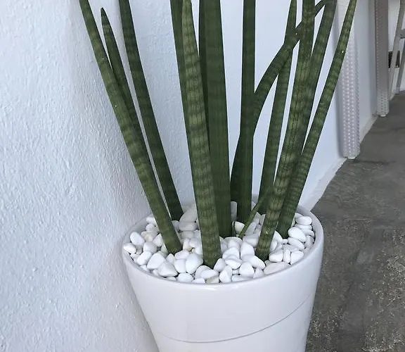 Yanna Asteri * Ornos (Mykonos)