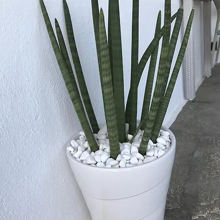 Yanna Asteri * Ornos (Mykonos)